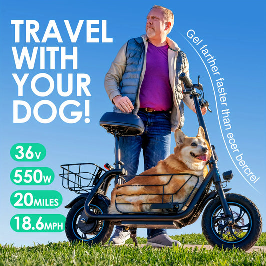 Experience Gyroor's versatile electric scooter, engineered for everyday city explorations and pet-friendly outings, delivering dependable power and a smooth ride.