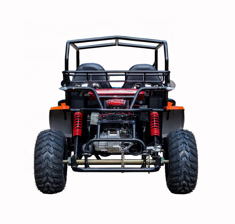 Street Legal Adult Dune Buggy 4x4 Go Kart 200cc To 1500cc