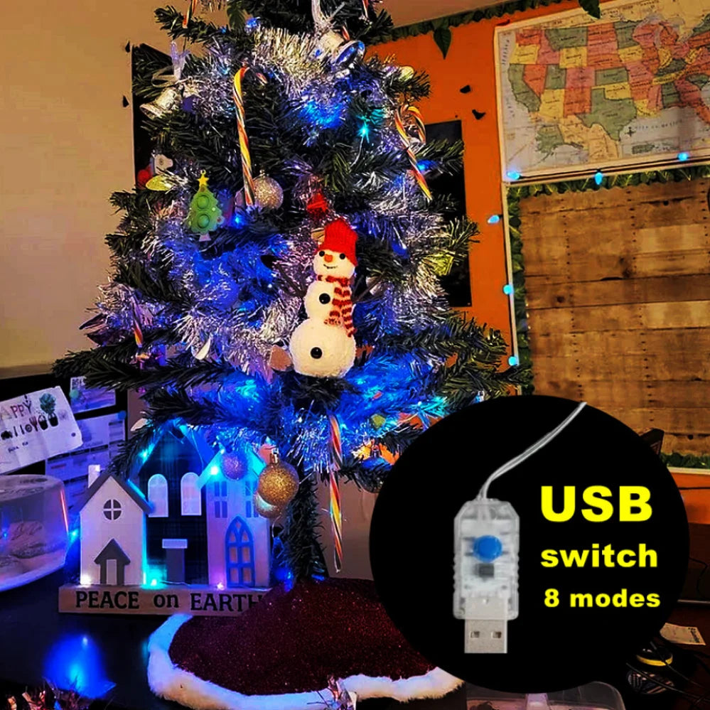 Aswesaw USB Powered Silver Wire Fairy Lights Waterproof String Lights For Xmas