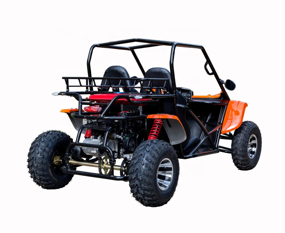 Street Legal Adult Dune Buggy 4x4 Go Kart 200cc To 1500cc