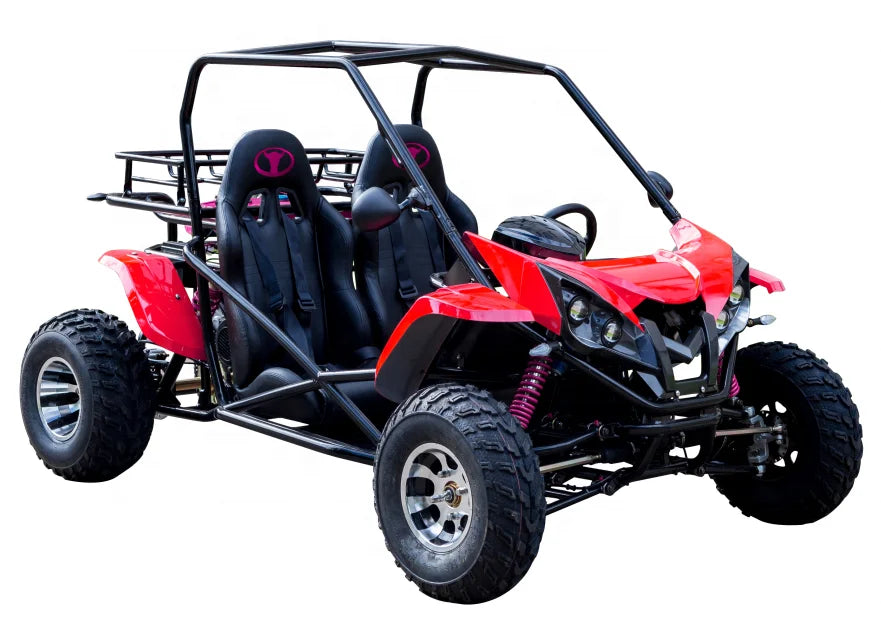 Street Legal Adult Dune Buggy 4x4 Go Kart 200cc To 1500cc