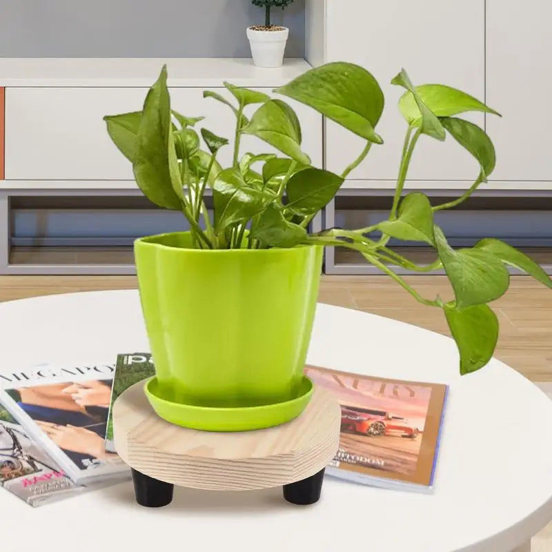 Brand None presents a durable wooden planter stand that organizes your space with style.